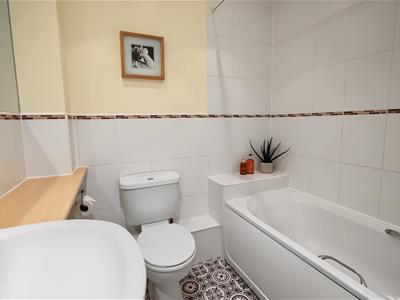 Picture 11